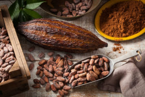 Cacao Pods and Beans