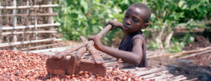 Slave Chocolate