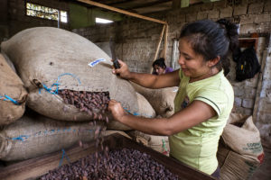Paul Newman - Peruvian women's co-op