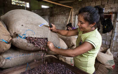In Focus: BIJA Chocolate