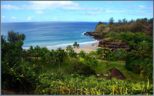 hawaiione
