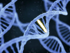 Cacao Melting Point DNA