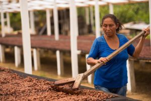 One For All Cacao Project