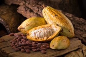 The Healthy Bean July 2017