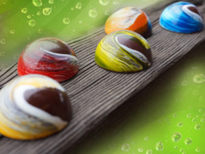 Paradise Fruit Bon Bons