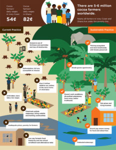 Sustainable Cacao Farming