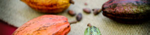 Shrewsbury Chocolate Festival