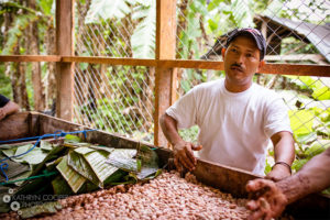 Enliven Cacao Fermentation