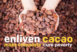 Enliven Cacao Make Chocolate Cure Poverty