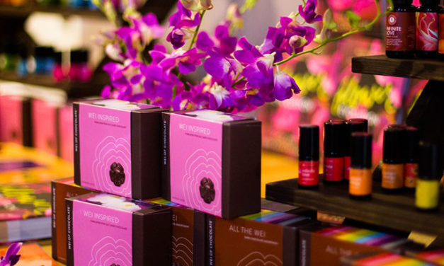 WEEKEND FLASH SALE! 25% Off The Chocolate Therapist / Wei of Chocolate Bundle