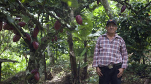 Tabal Origins - Nicaragua 500