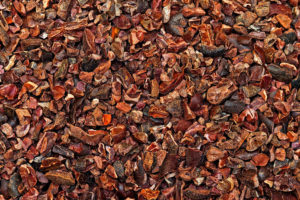 Cadmium in Cacao Nibs