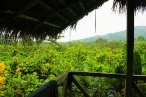 Munay Chocolate - View from the Hacienda