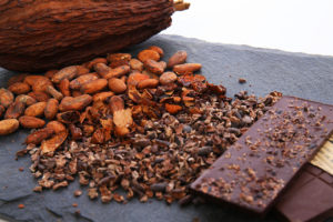 Endorfin Foods Chocolate and Cacao