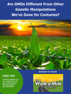 Are GMOs Different?