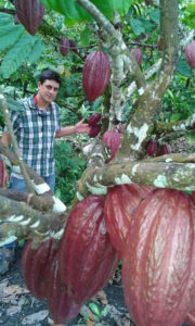 Pernia Family Cacao Farm