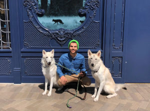 Wolf Chocolate - Cody with Dusk and Dawn