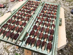 Maya Mountain Cacao Cut Test