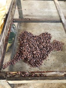 Renee Parker Valentines Day Heart
