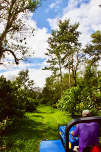 Touring Xibun River Estate