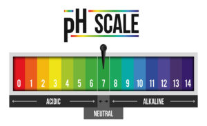 pH Scale