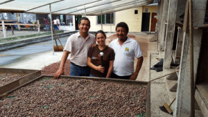 Villakuyaya Cacao Beans Drying