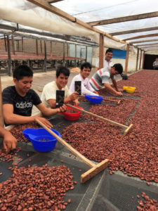 Maranon Chocolate - Peru