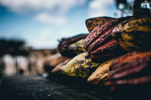 Introducing Cocoamind... Cacao as a Nutraceutical?