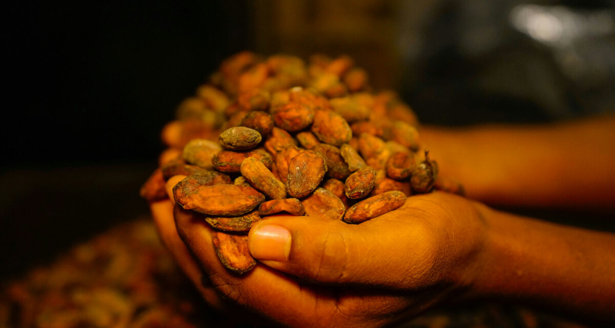 Cacao Prices Have Been Falling. Chocolate Prices? Not So Much…