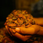 Cacao Prices Have Been Falling. Chocolate Prices? Not So Much…