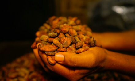 Cacao Prices Have Been Falling. Chocolate Prices? Not So Much…