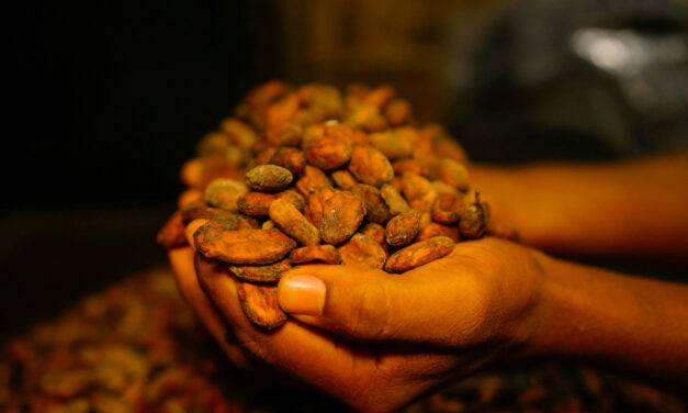 Cacao Prices Have Been Falling. Chocolate Prices? Not So Much…