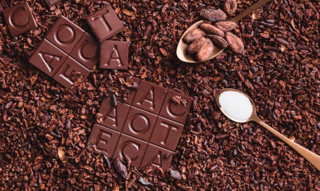 Cacaoteca Chocolate Tasting – Part 2