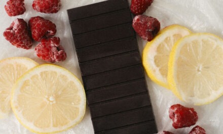 Seahorse Chocolate Flaky Sea Salt Bar