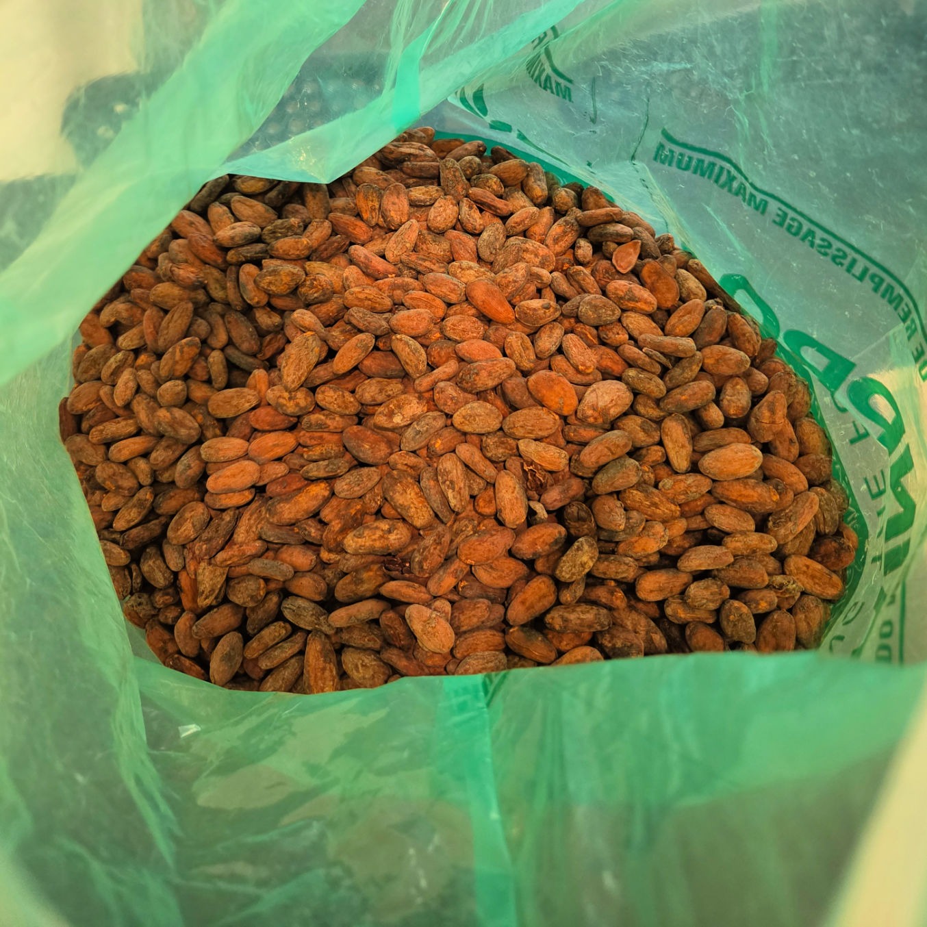Tucson Chocolate Factory Cacao Beans Tucson Chocolate Factory Cacao Beans